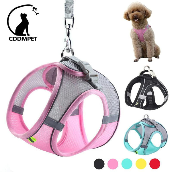 Cap Point Adjustable Dog Puppy Cat Harness Leash Set