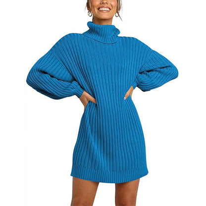 Cap Point Blue / S Jennifer Turtleneck Sweater Dress