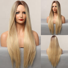 Load image into Gallery viewer, Cap Point Dina Heat Resistant Fiber Cosplay Silver Gray Natural Long Silk Straight Hair Wigs
