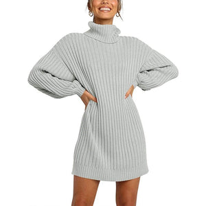 Cap Point Gray / S Jennifer Turtleneck Sweater Dress
