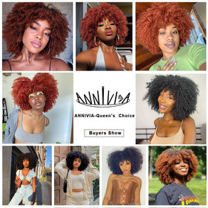 Cap Point Melinda Short Synthetic Ombre Glueless Cosplay Hair Afro Kinky Curly Wigs