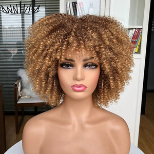 Cap Point Melinda Short Synthetic Ombre Glueless Cosplay Hair Afro Kinky Curly Wigs