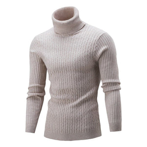 Cap Point Mens Rollneck Warm Knitted Sweater