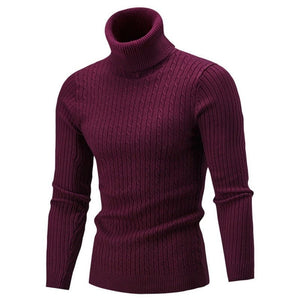 Cap Point wine / M Mens Rollneck Warm Knitted Sweater