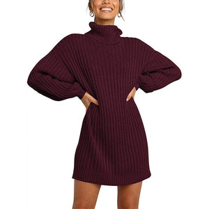 Cap Point Wine red / S Jennifer Turtleneck Sweater Dress